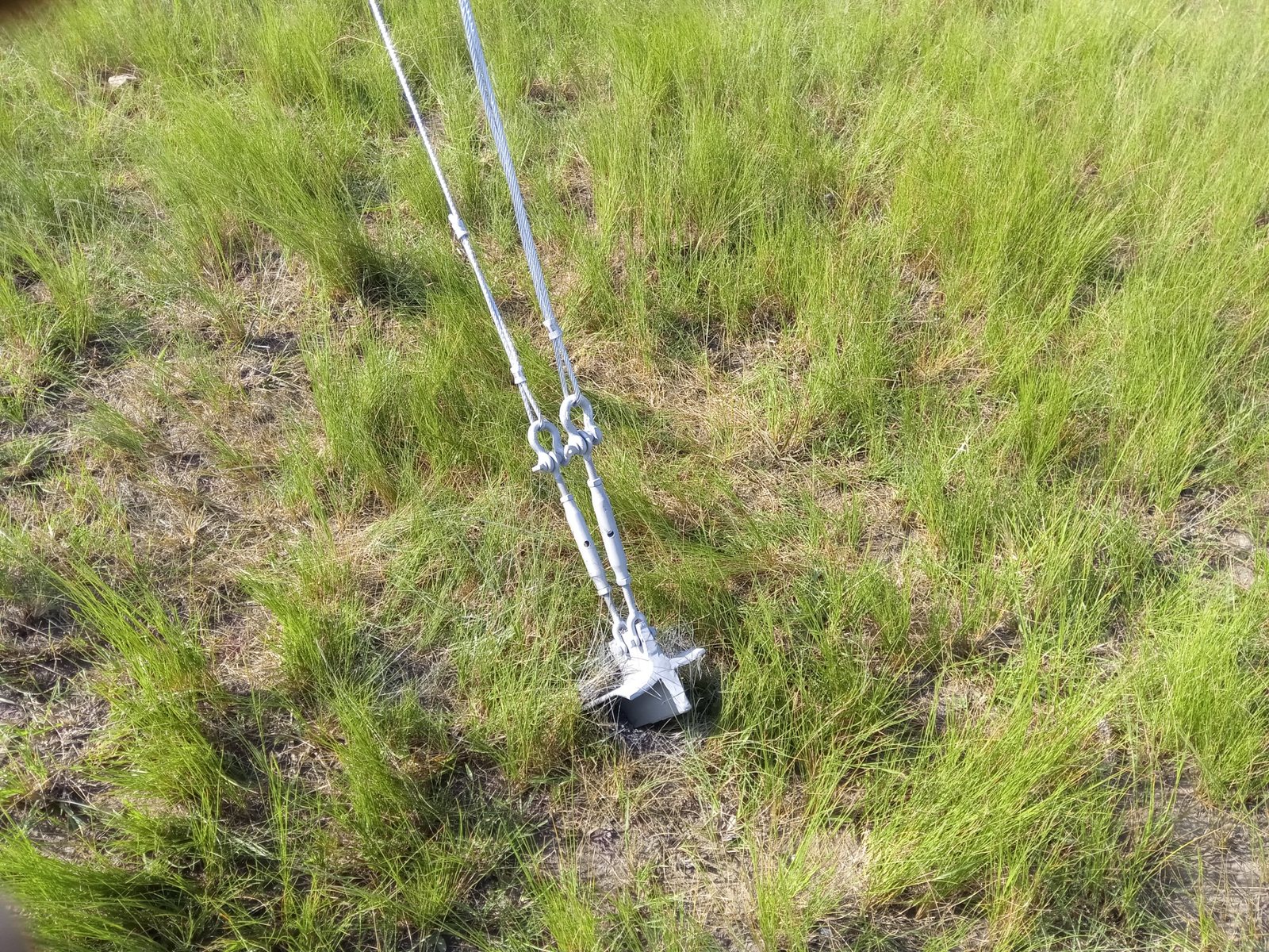 Guy wire anchor system